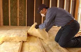 Best Attic Insulation Installation  in Holcom, KS